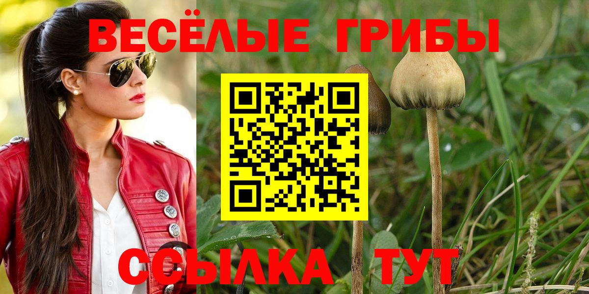 Галлюциногенные грибы прущие грибы Лесосибирск